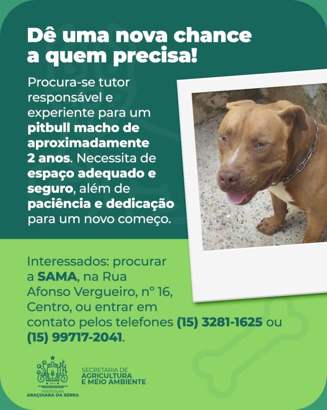 Dê uma Nova Chance: Adote com Responsabilidade
