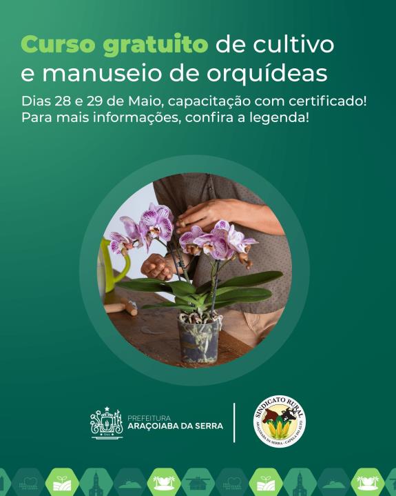 Curso Gratuito de Orquídeas