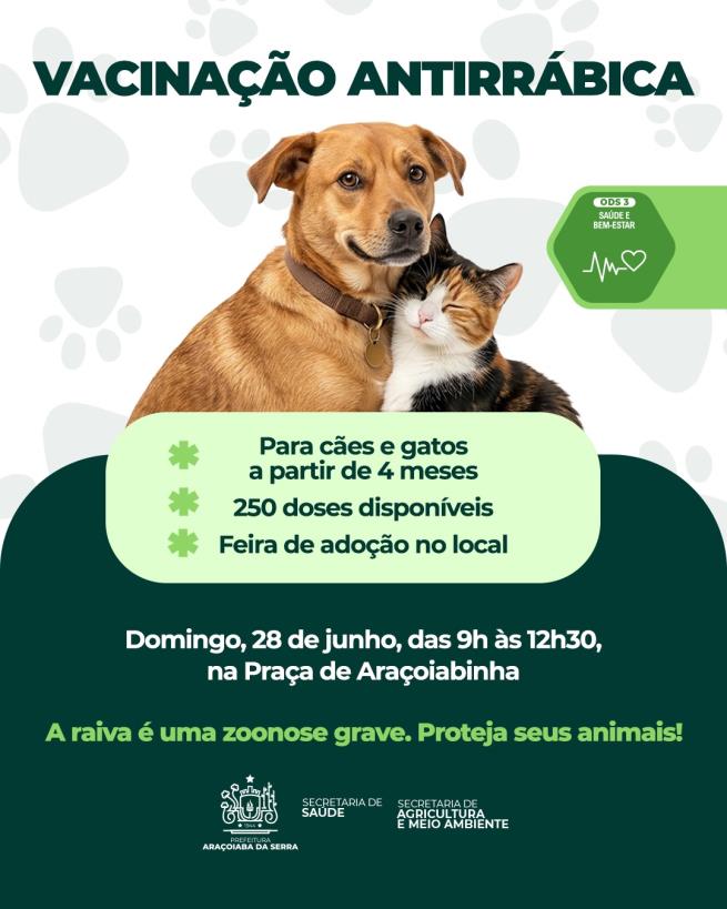 Vacinação Antirrábica para Cães e Gatos acontece neste domingo em Araçoiabinha