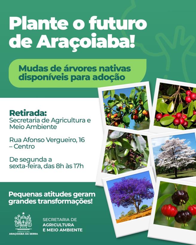 Adote uma muda, plante o futuro