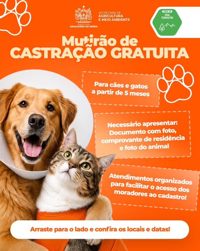 Mutirão de Castração Gratuita terá cadastro em diversos bairros
