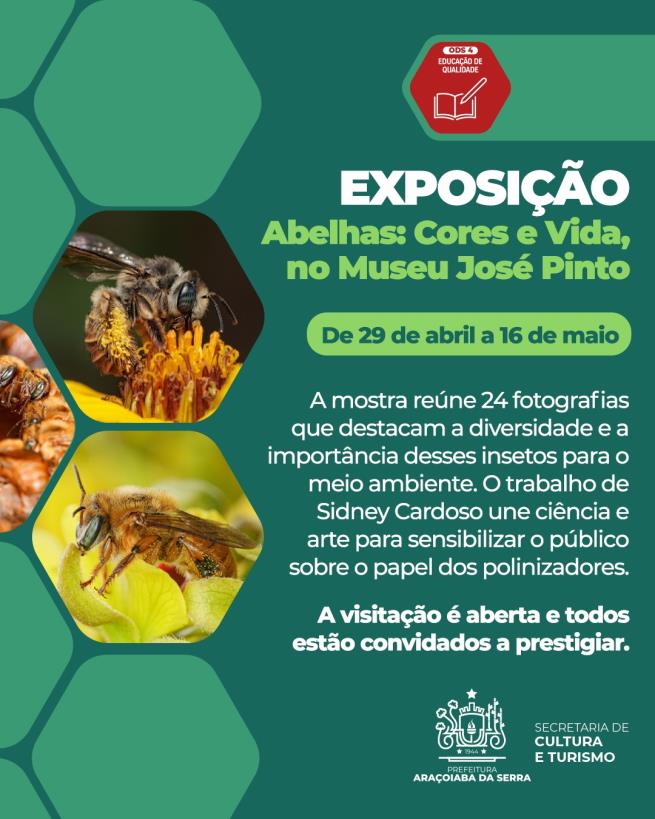Exposição abelhas: Cores e vida, no Museu José pinto