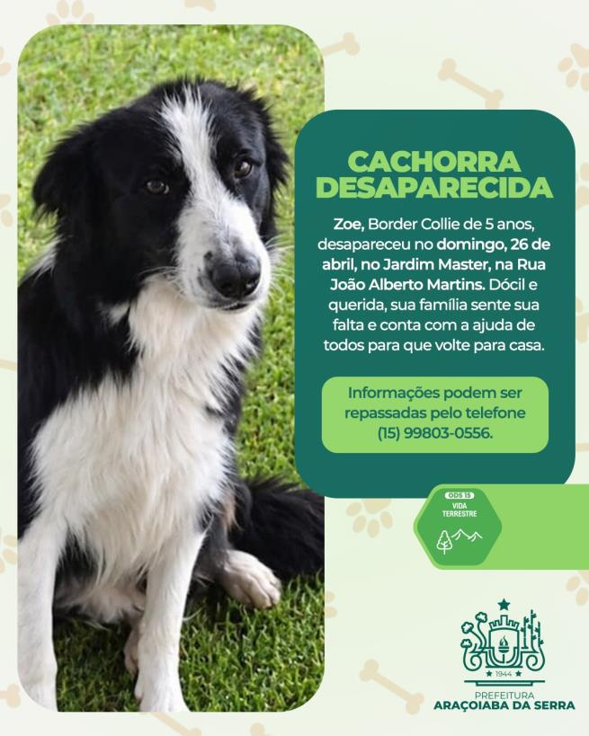 Família busca por Zoe desaparecida no Jardim Master