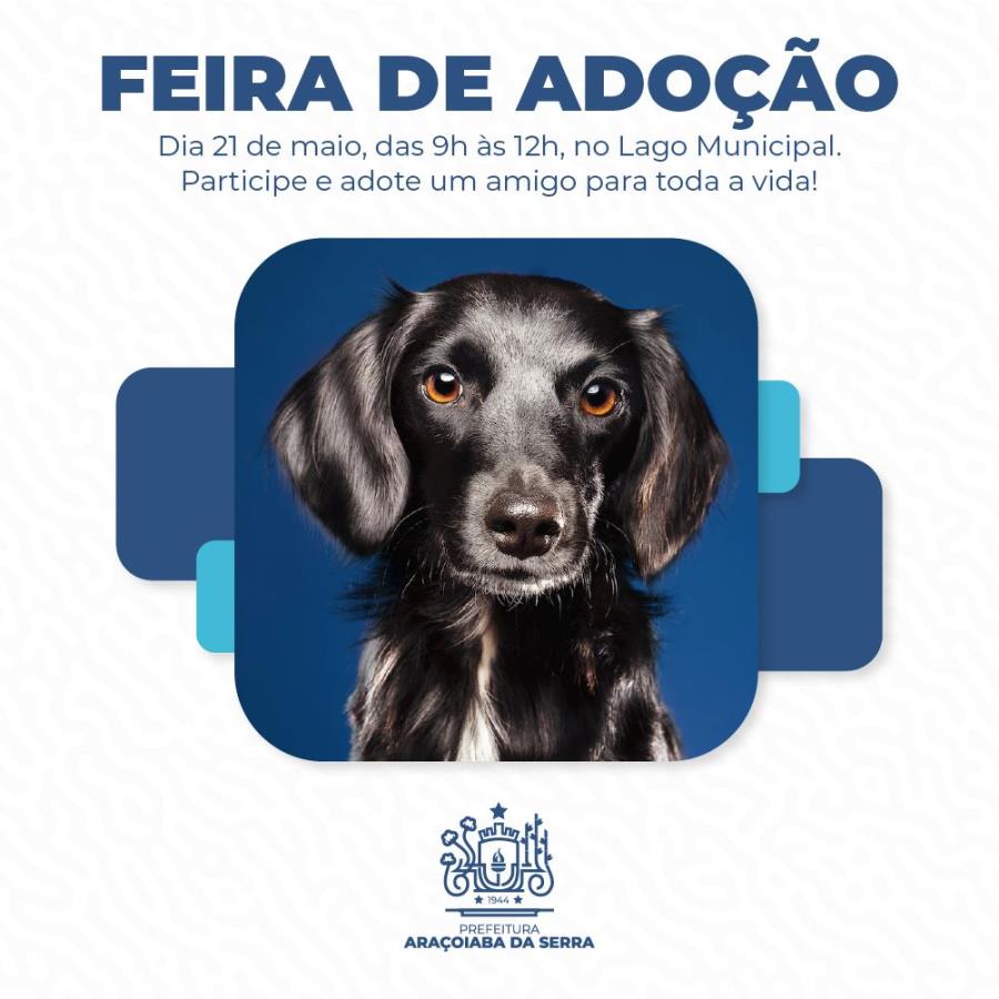Adote um Amigo