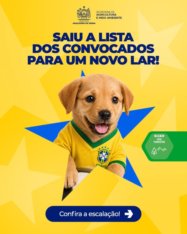Copa Especial da Adoção: Uma Nova Chance de Lar