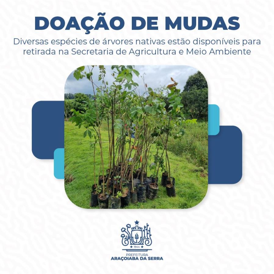 Doação de Mudas