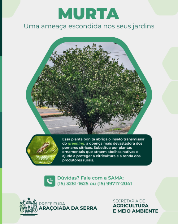 Combate à Murta: Proteja os Pomares e a Citricultura de Araçoiaba da Serra