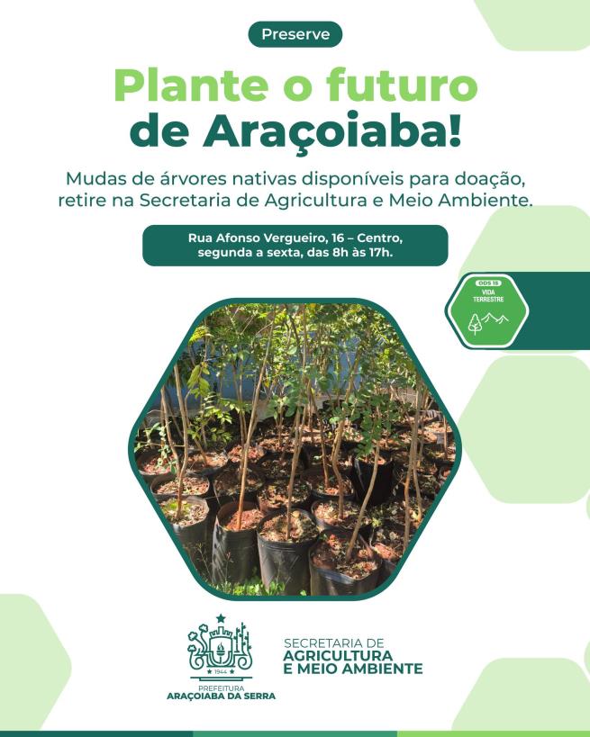 Secretaria do Meio Ambiente realiza doação de mudas nativas