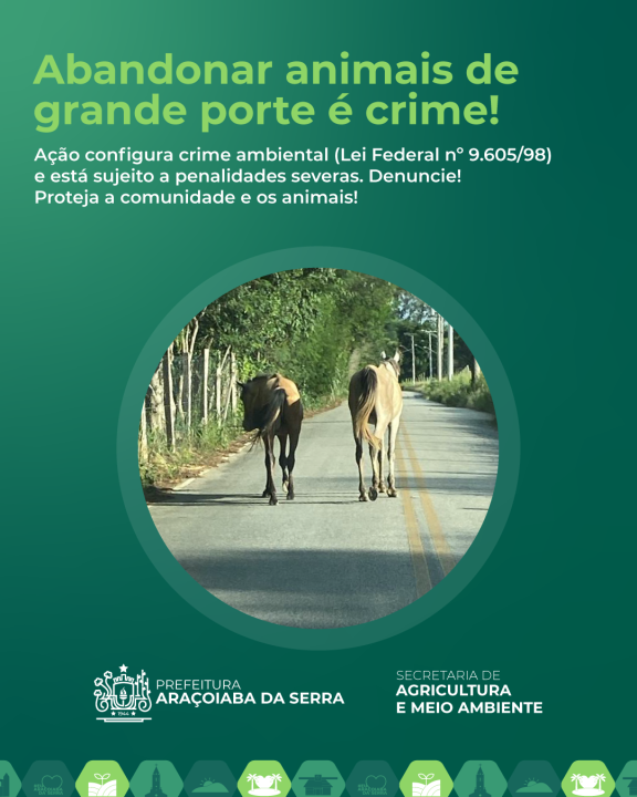 Abandono de Animais de Grande Porte é Crime e Coloca Vidas em Risco