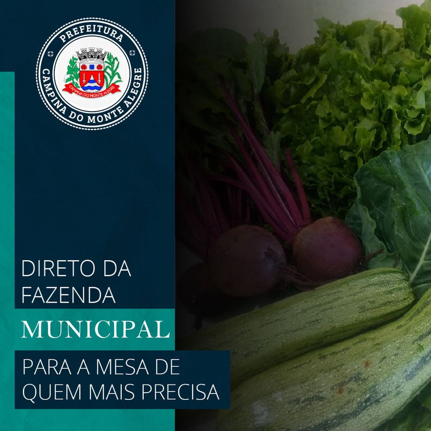 Alimentos cultivados na Fazenda Municipal serão distribuídos para famílias assistidas pelo CRAS