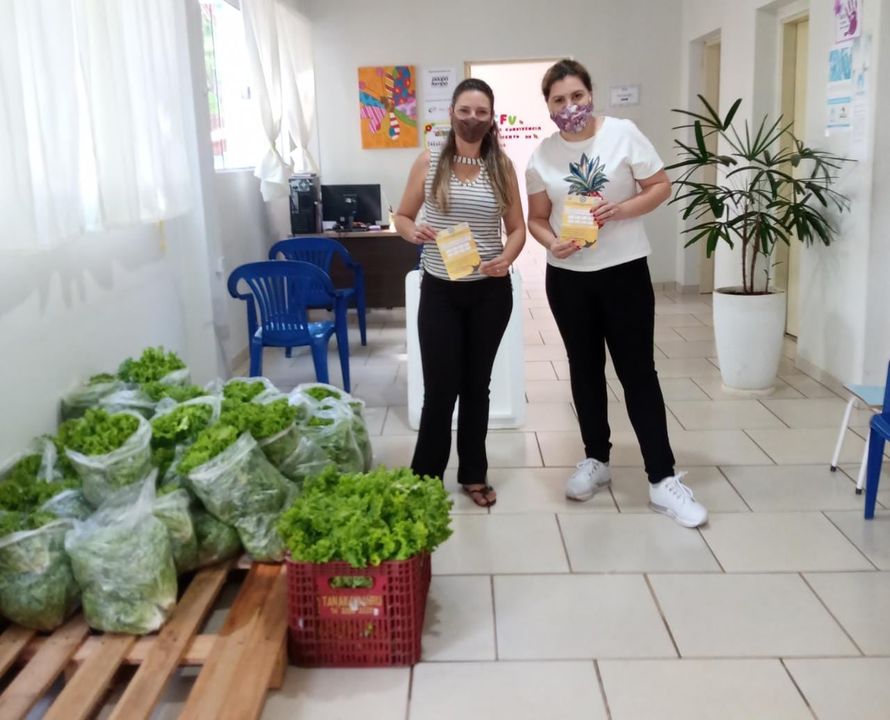 Beneficiados do Programa Viva Leite recebem alface cultivado na Fazenda Municipal
