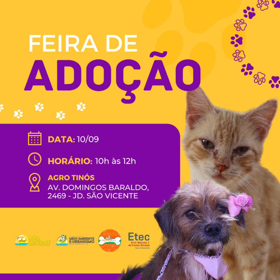 Prefeitura de Novo Horizonte promove feirinha de adoção de animais do canil e gatil 