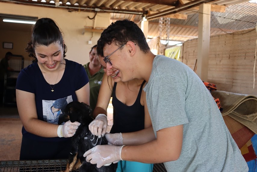 Alunos da ETEC de Novo Horizonte participam da preparação dos animais para  feira de adoção