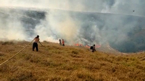 Defesa Civil atende recorde de ocorrências de incêndio em agosto