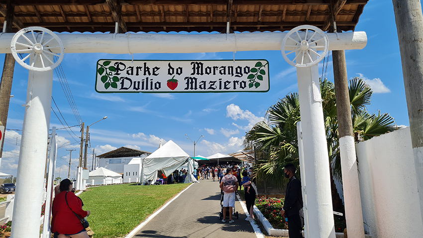 A 41ª Festa do Morango de Atibaia e Jarinu começa 28 de junho