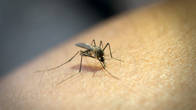 Prefeitura de Jarinu realiza Semana de Combate à Dengue