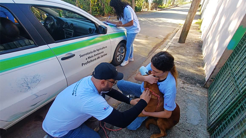 Bem-Estar Animal de Jarinu participa de inquérito sorológico em Itatiba