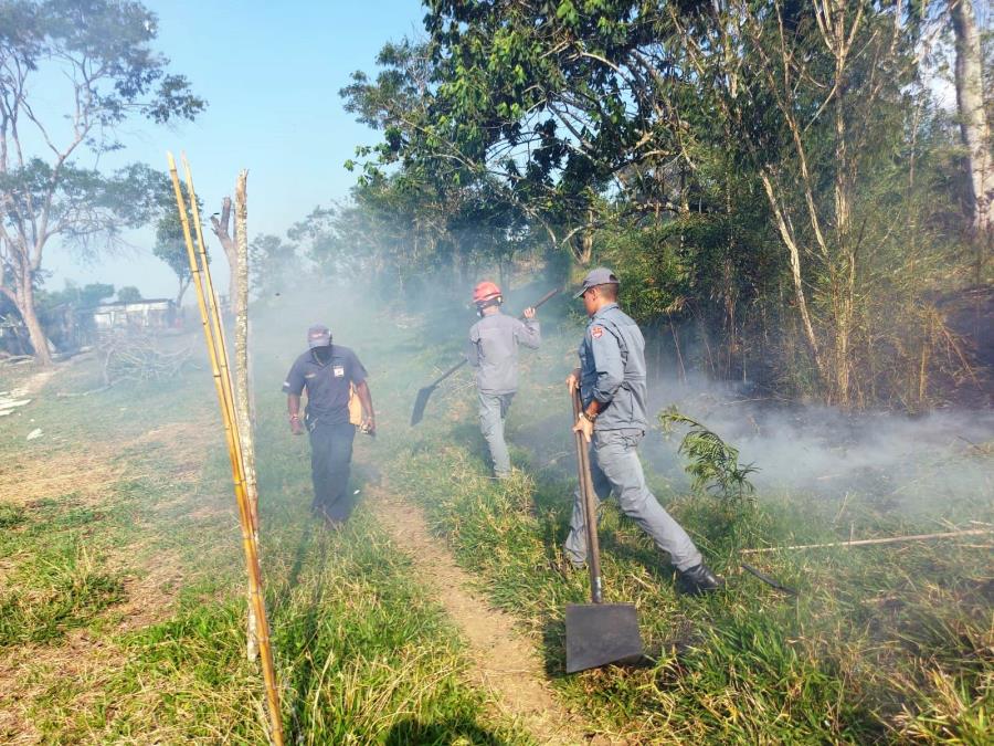 Defesa Civil de Itapecerica da Serra Age Rapidamente para Combater Incêndio em Mata