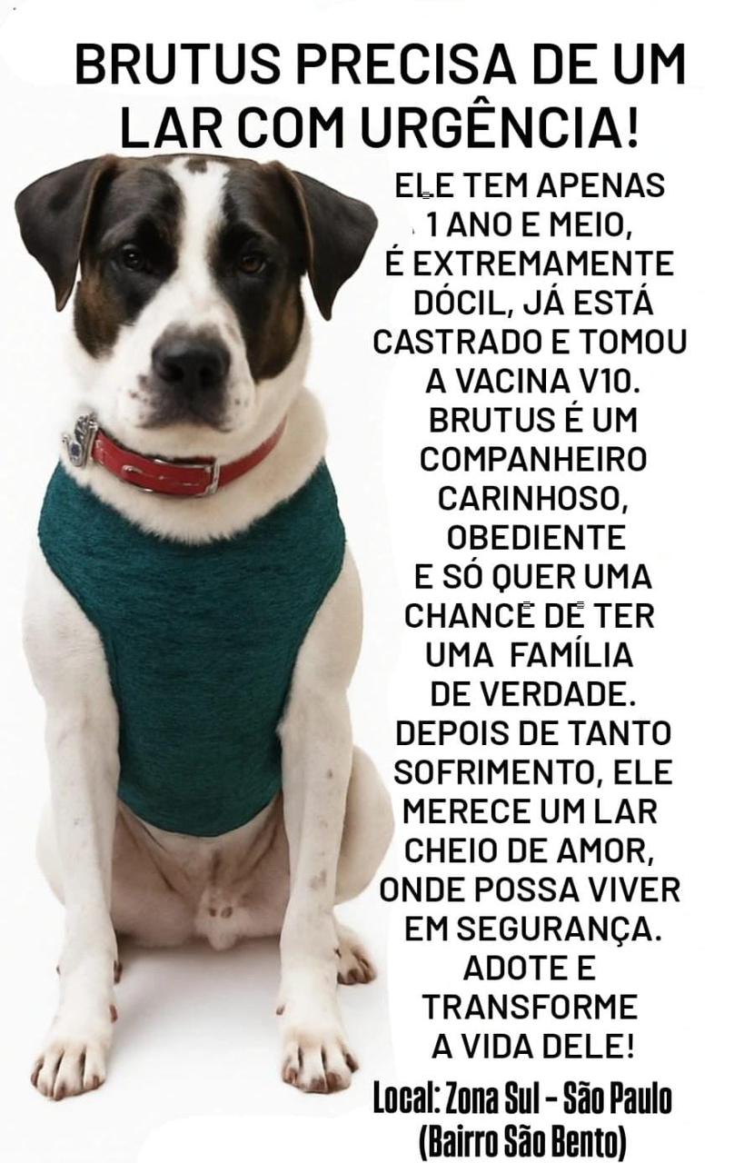 BRUTUS