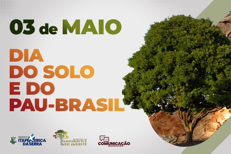 Dia do Solo e do Pau-Brasil