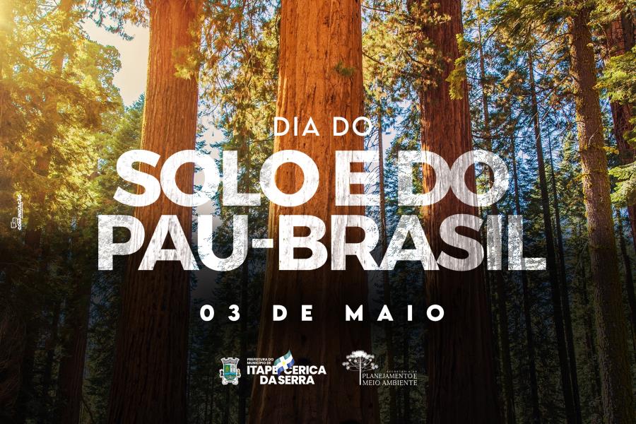 03 de maio: Dia do Solo e do Pau-Brasil