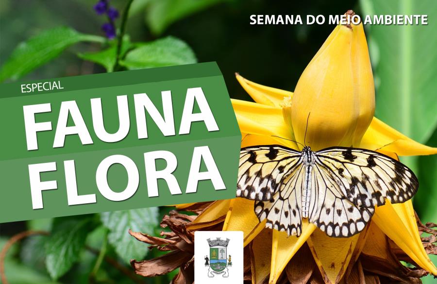 Semana do Meio Ambiente: Fauna e Flora de Itapecerica da Serra