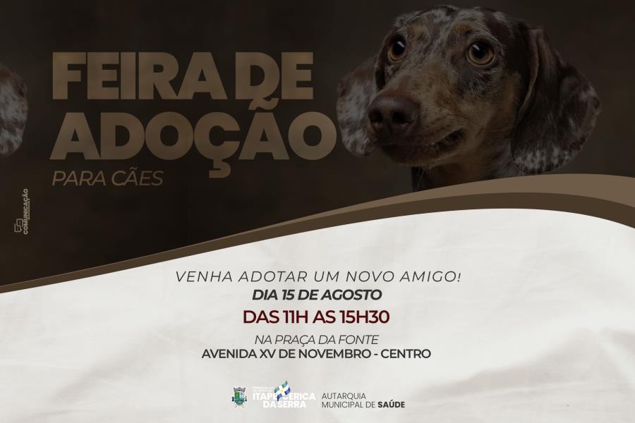 Centro de Controle de Zoonoses (CCZ) realiza Feira de Adoção para Cães na Praça da Fonte