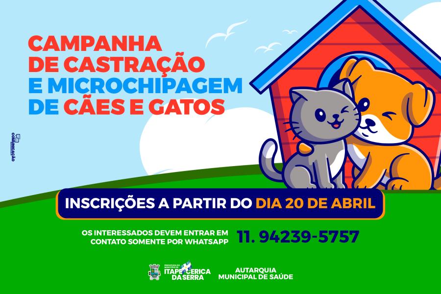 CCZ iniciará novas inscrições para castração de cães e gatos
