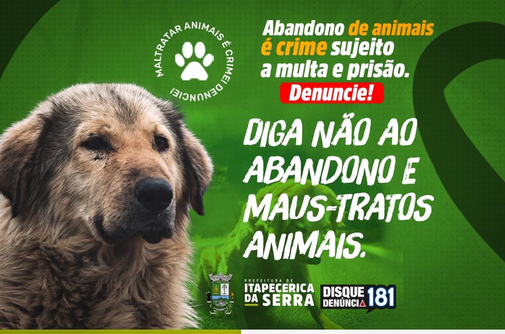 Publicação de norma federal reforça diretrizes sobre proteção animal