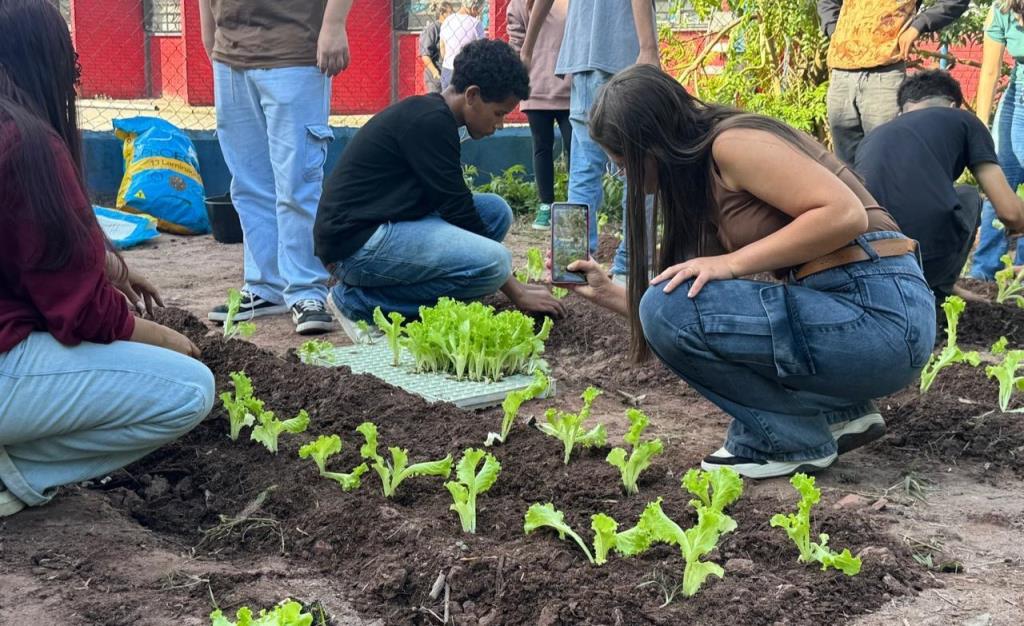 Projeto “Horta nas Escolas” promove educação ambiental na EE Sophia Januária Amaral