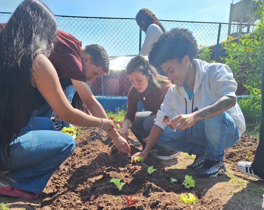 Escola Estadual Sophia Maria Januário Amaral recebe segunda etapa do projeto "Horta nas Escolas" em Itapecerica da Serra
