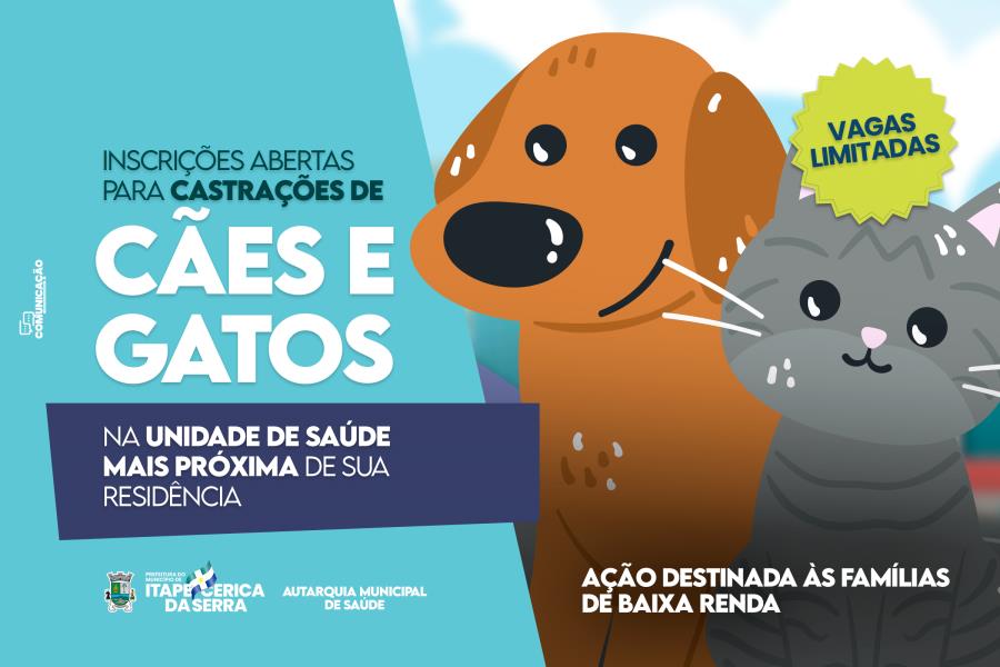 Itapecerica da Serra abre inscrições para castrações de animais de famílias de baixa renda nesta quarta-feira