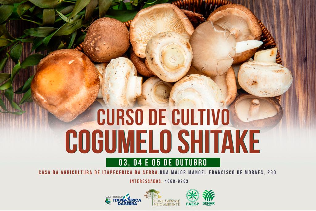 Produtores estão animados com shitake na região de Sorocaba, Nosso Campo