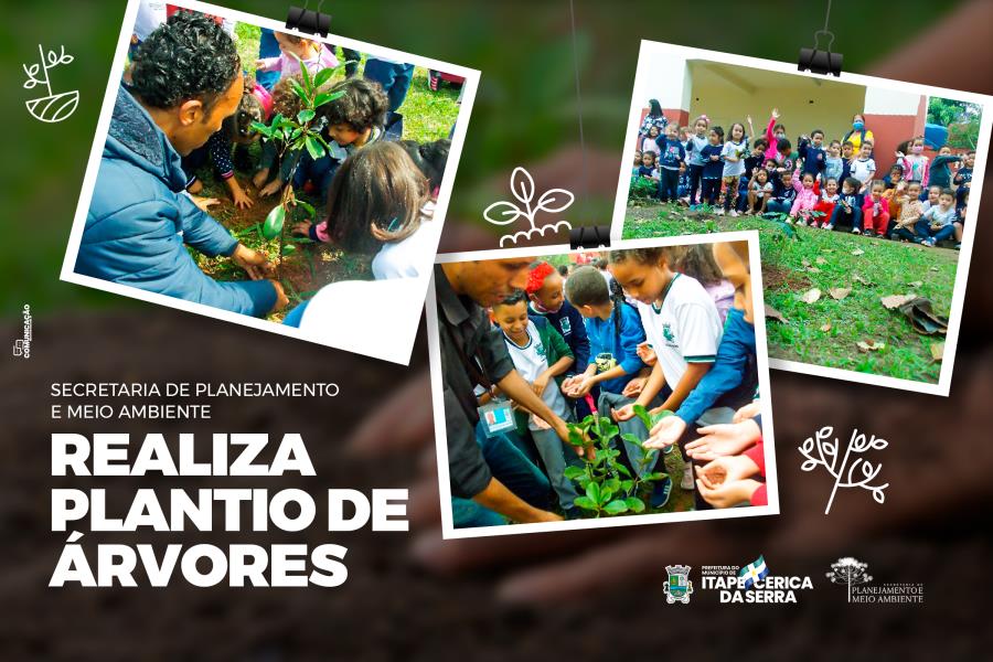 Secretaria de Planejamento e Meio Ambiente realiza plantio de árvores
