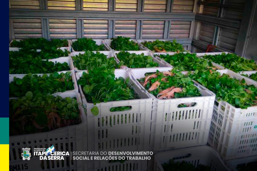 Banco de Alimentos recebe doação de hortaliças