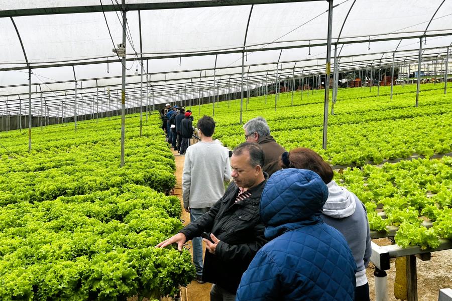 Curso de Hidroponia é promovido em Itapecerica da Serra
