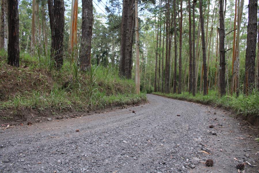 Potuverá: Mais de 10 vias do bairro são contempladas com forte trabalho da Regional de Serviços