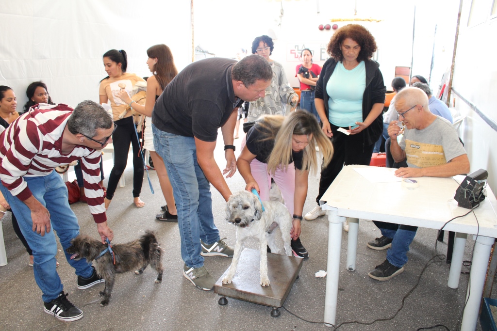 Campanha alcança mais de 900 animais Castrados e Microchipados com 7ª Etapa