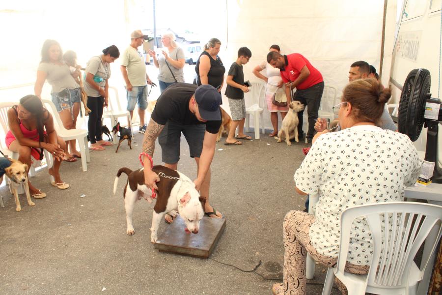 Zoonoses realiza 6ª etapa de Castração de Cães e Gatos