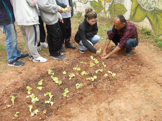 Projeto Horta nas Escolas é realizado na E.E. Asa Branca