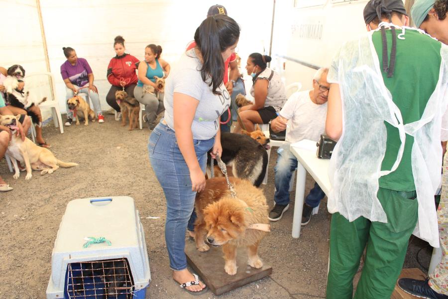 Prefeitura realiza 2ª etapa da Campanha de Castração e Microchipagem de Cães e Gatos