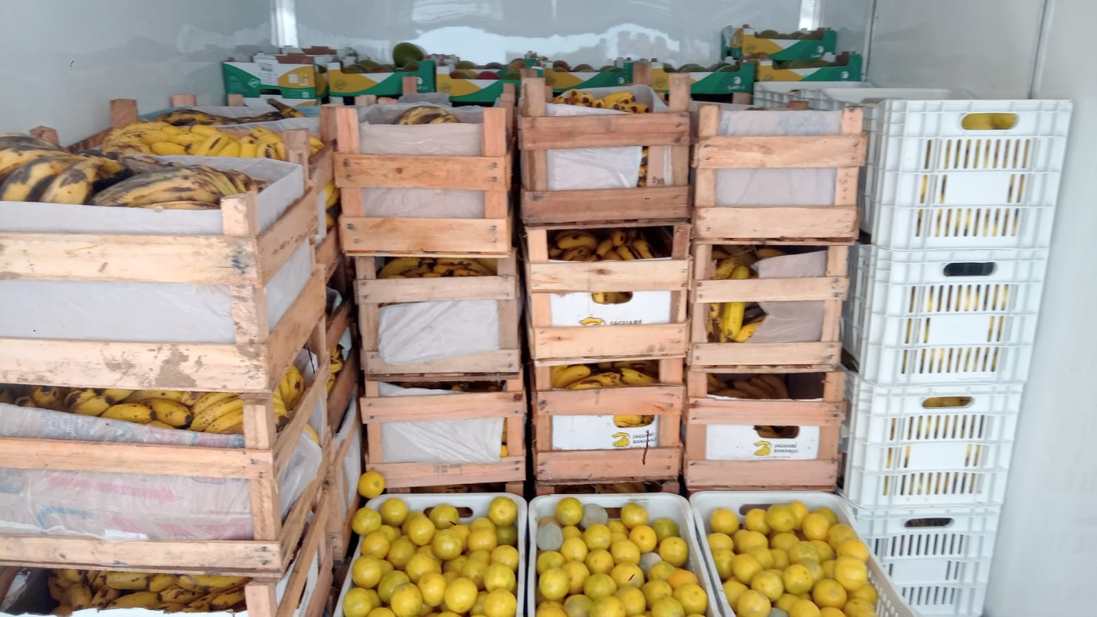 Banco de Alimentos de Itapecerica da Serra recebe doações da CEAGESP