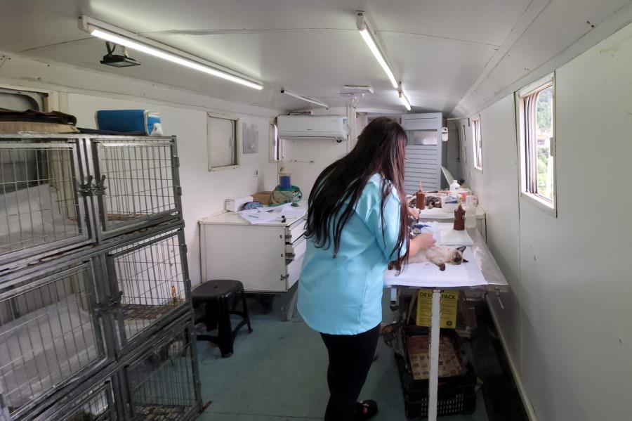 Jardim Jacira recebe 4ª etapa da Campanha de Castração e Microchipagem de Cães e Gatos