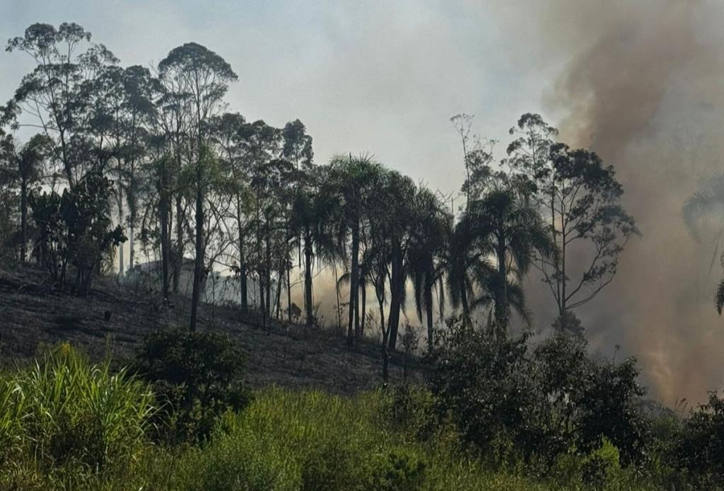 Defesa Civil realiza vistorias para prevenção de incêndios