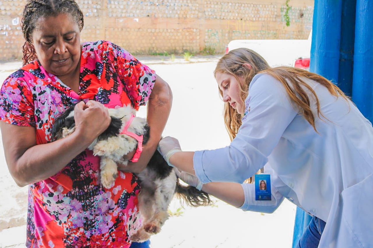 Antirrábica: Número de pets vacinados pela Prefeitura de Itapecerica da Serra ultrapassa 3 mil