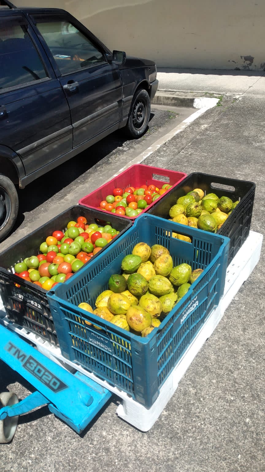 CEAGESP doa produtos ao Banco de Alimentos de Itapecerica da Serra