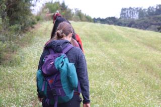 CAMINHADA NA NATUREZA (246)
