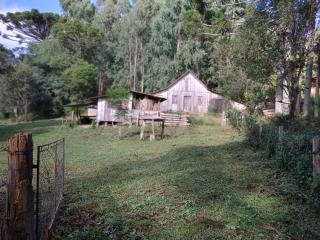 Caminhada Celso Aramis