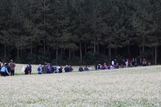 CAMINHADA NA NATUREZA (127)