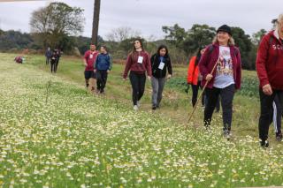 CAMINHADA NA NATUREZA (241)